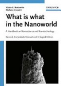 Borisenko - What is What in the Nanoworld