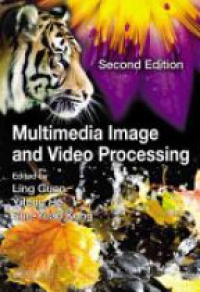 Ling Guan,Yifeng He,Sun-Yuan Kung - Multimedia Image and Video Processing