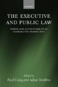 Craig P. - The Executive and Public Law