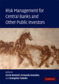 Bindseil U. - Risk Management for Central Banks and Other Public Investors
