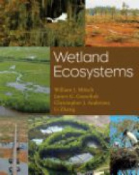 Mitsch - Wetland Ecosystems
