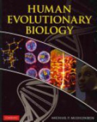 Muehlenbein P. M. - Human Evolutionary Biology