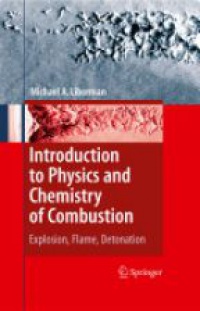 Liberman - Introduction to Physics and Chemistry of Combustion