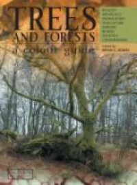Bryan G. Bowes - Trees & Forests, A Colour Guide: Biology, Pathology, Propagation, Silviculture, Surgery, Biomes, Ecology, and Conservation