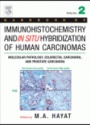 HNDB of Immunohistochemistry and in Situ Hybridization of Human Carcinomas Vol. II
