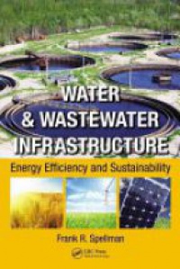 Frank R. Spellman - Water & Wastewater Infrastructure: Energy Efficiency and Sustainability