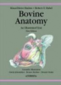 Budras K.D. - Bovine Anatomy