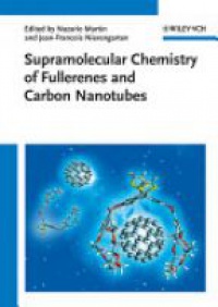 Nazario Martín - Supramolecular Chemistry of Fullerenes and Carbon Nanotubes