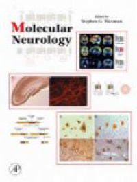 Waxman, Stephen - Molecular Neurology