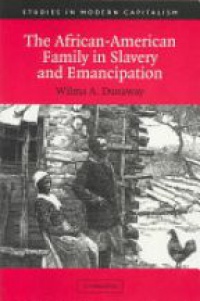 Dunaway - The African-American Family in Slavery and Emancipation