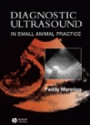 Diagnostic Ultrasound in Small Animal Practice, 2nd ed.