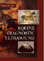 Equine Diagnostic Ultrasound