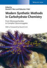 Daniel B. Werz,S&eacute;bastien Vidal - Modern Synthetic Methods in Carbohydrate Chemistry: From Monosaccharides to Complex Glycoconjugates