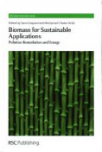 Sarra Gaspard,Mohamed Chaker Ncibi - Biomass for Sustainable Applications: Pollution Remediation and Energy