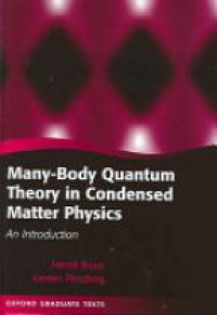 Bruus H. - Many Body Quant Theory Cond
