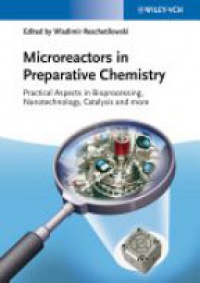 Wladimir Reschetilowski - Microreactors in Preparative Chemistry: Practical Aspects in Bioprocessing, Nanotechnology, Catalysis and more