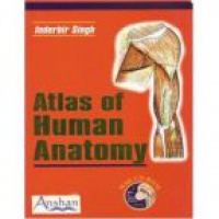 Singh I. - Atlas of Human Anatomy
