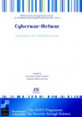 Cyberwar - Netwar : Security in the Information Age