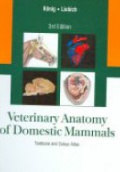 Veterinary Anatomy of Domestic Mammals