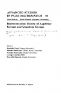 Shoji - Representation Theory of Algebraic Groups and Quantum Groups
