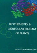 Biochemistry and Molecular Biology Plants