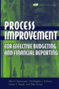 Rasmussen N. - Process Improvement for Effective Budgeting