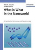 What is What in the Nanoworld