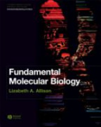 Allison L. - Fundamental Molecular Biology