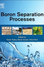 Boron Separation Processes