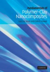 Beall - Fundamentals of Polymer-Clay Nanocomposites
