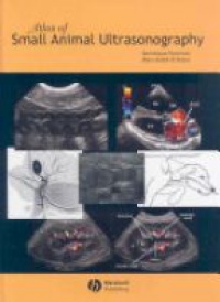 Penninck D. - Atlas of Small Animal Ultrasonography