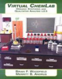 Woodfield - Virtual ChemLab, Organic Chemistry: Student Lab Manual/Workbook and CD Combo Package, v 2.5: Organic Synthesis and Qualitative Analysis