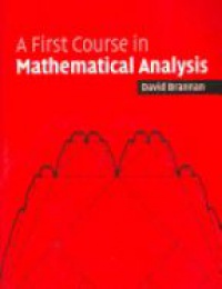 Brannan D. A. - A First Course in Mathematical Analysis