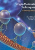 Single-Molecule Techniques: a Laboratory Manual