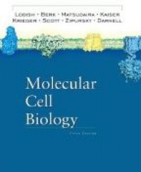 Lodish - Molecular Cell Biology