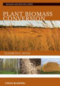 Elizabeth E. Hood,Peter Nelson,Randall Powell - Plant Biomass Conversion