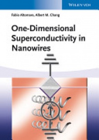 Fabio Altomare - One-Dimensional Superconductivity in Nanowires