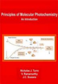 Turro N. - Principles of Molecular Photochemistry: An Introduction