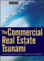The Commercial Real Estate Tsunami
