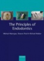Principles of Endodontics