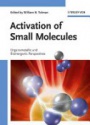 Activation of Small Molecules: Organometallic and Bioinorganic Perspectives