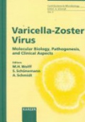 Varicella - Zoster Virus