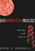 Bionanotechnology: Lessons from Nature